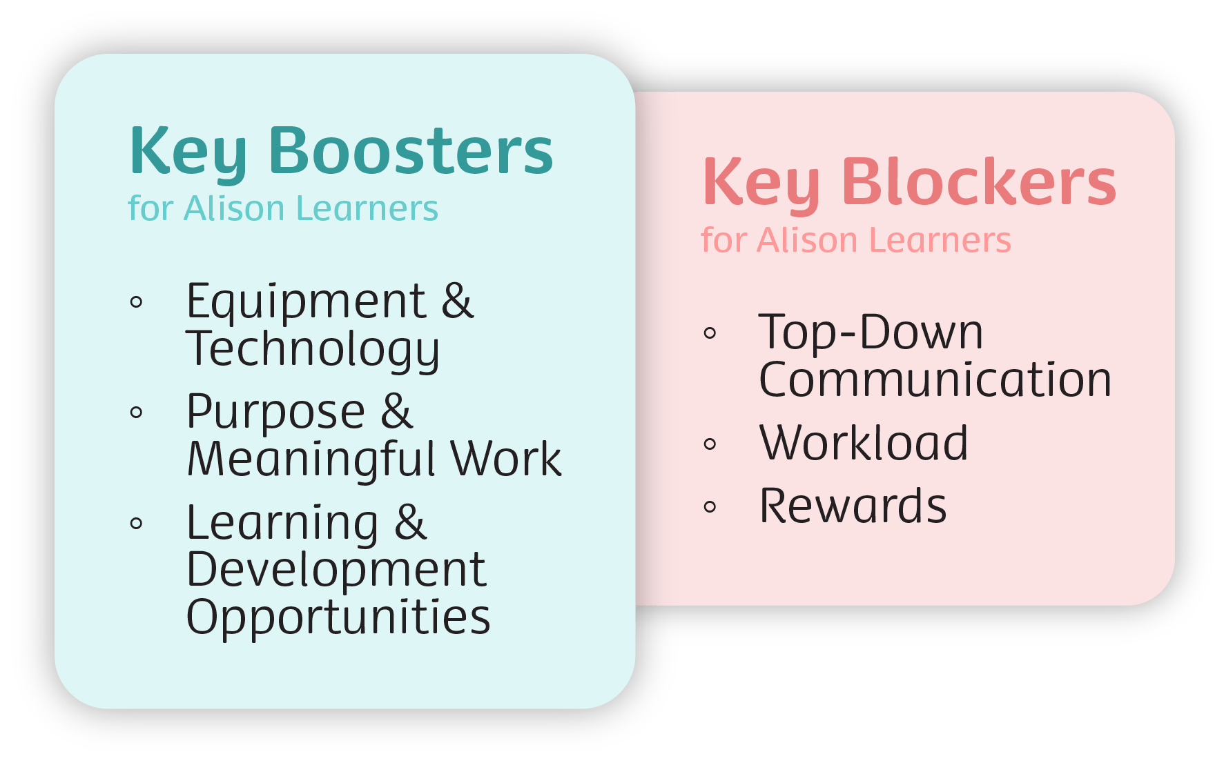 Alison Key Boosters & Blockers with shadow