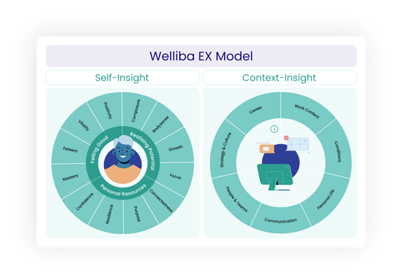 Welliba EX Model showing self-insight and context insight factors